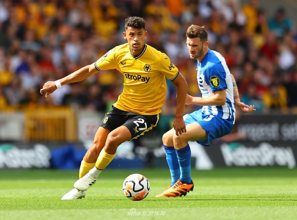 在本届比赛 在本届比赛